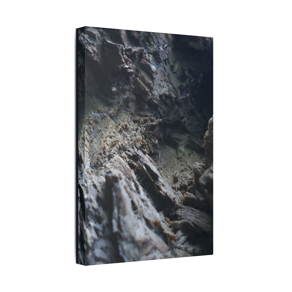 Classic Stretched Canvas