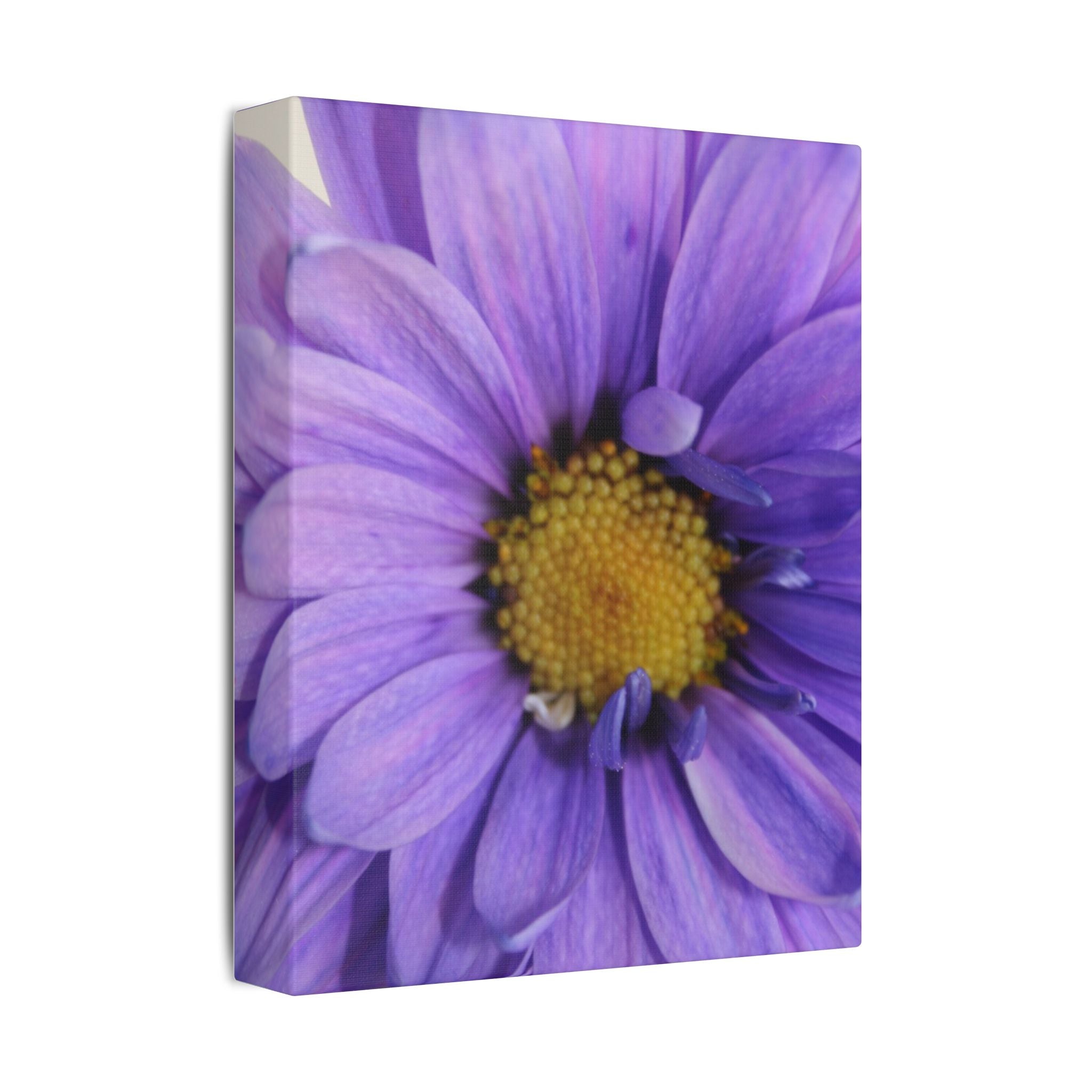 Classic Stretched Canvas