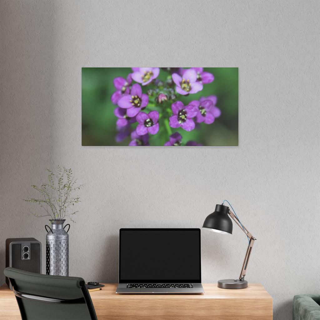 Classic Stretched Canvas
