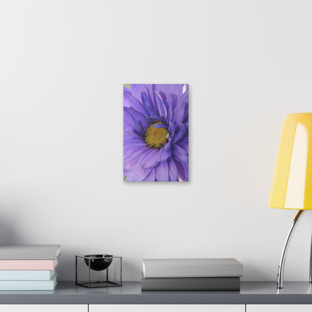 Classic Stretched Canvas