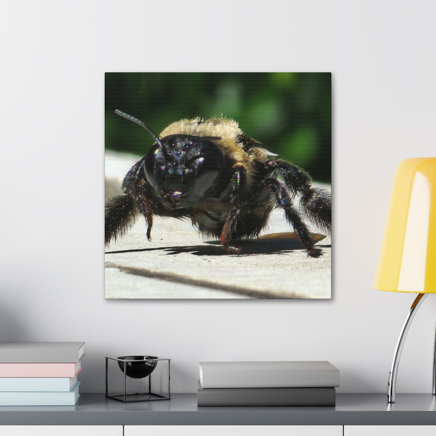 Canvas Gallery Wraps - Bee