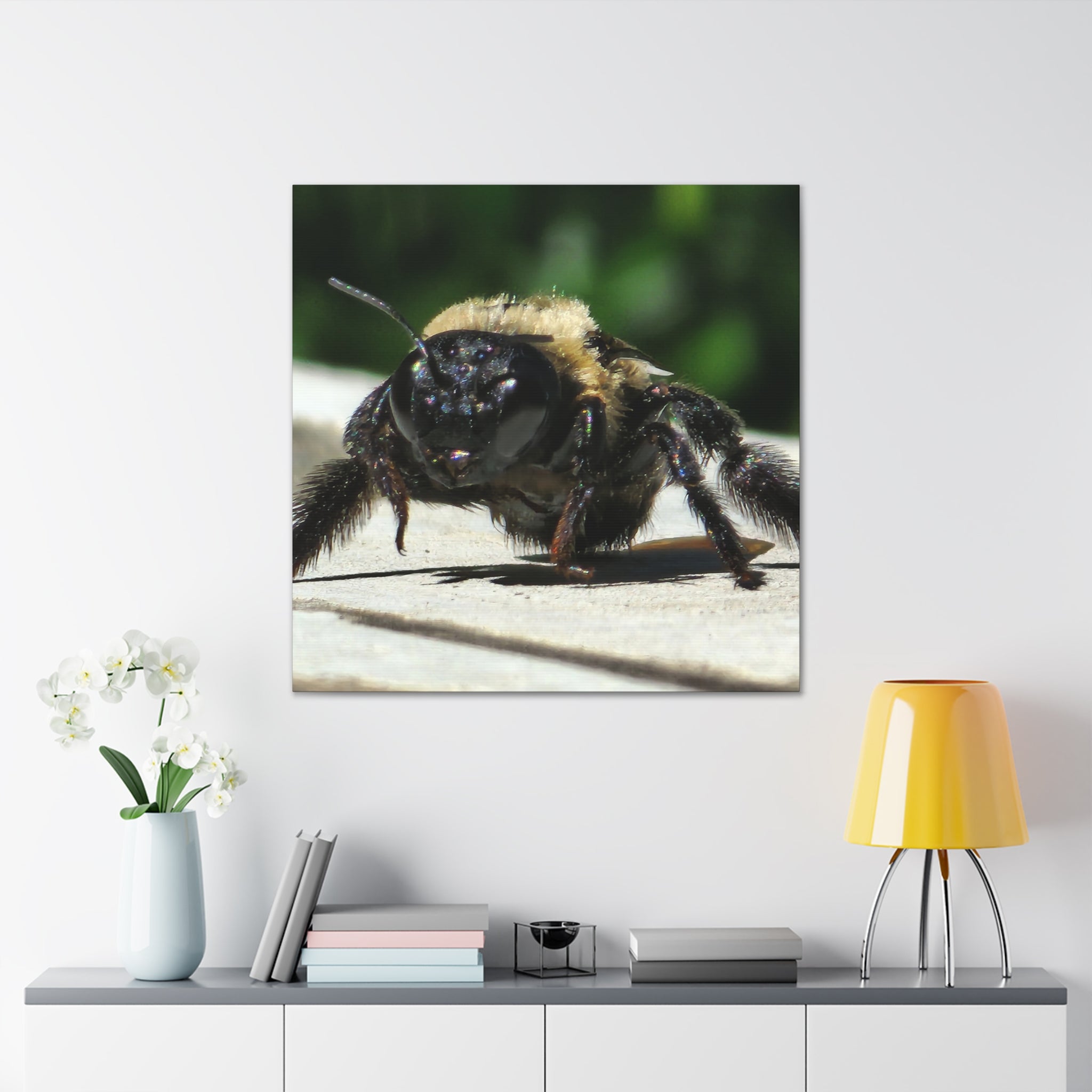 Canvas Gallery Wraps - Bee