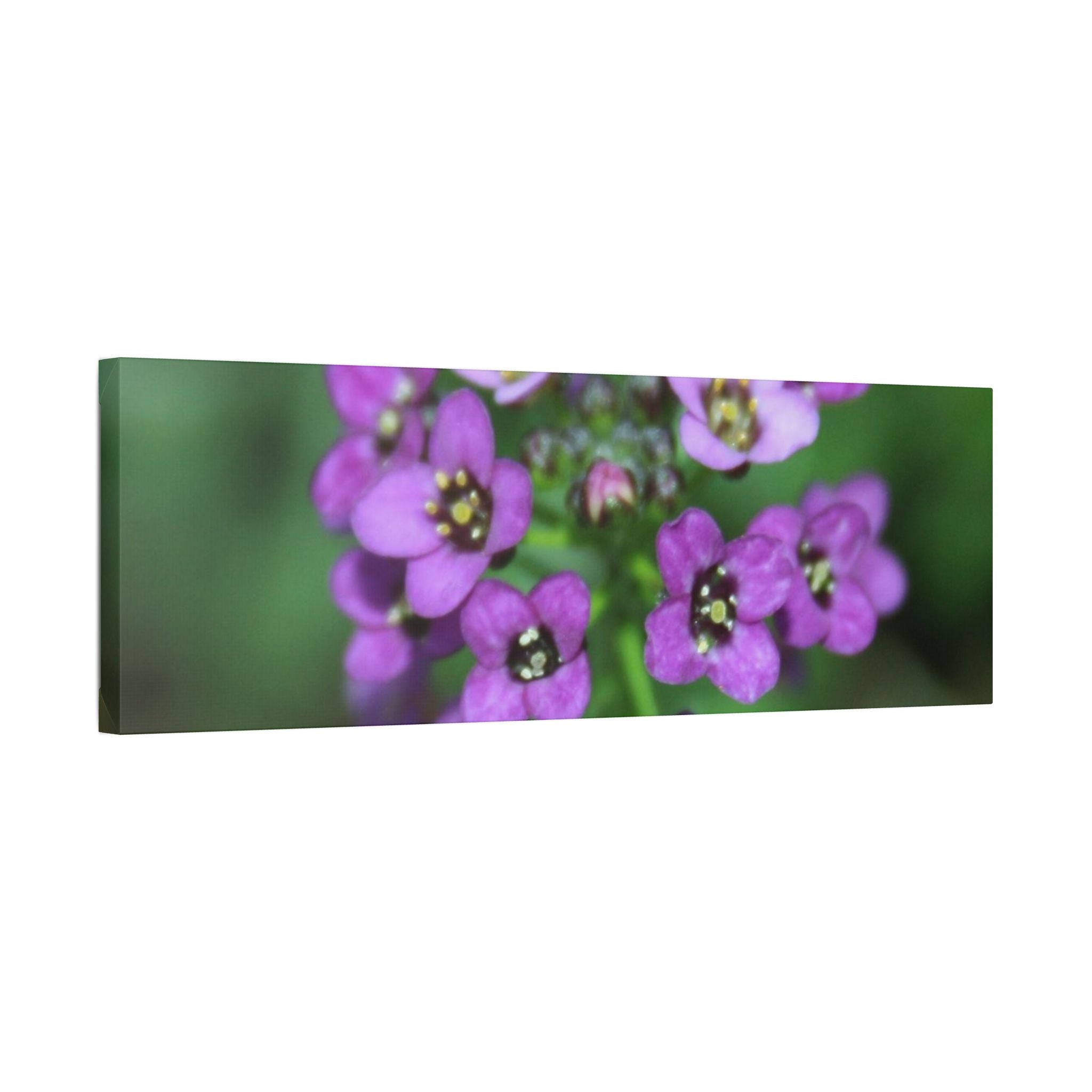 Classic Stretched Canvas