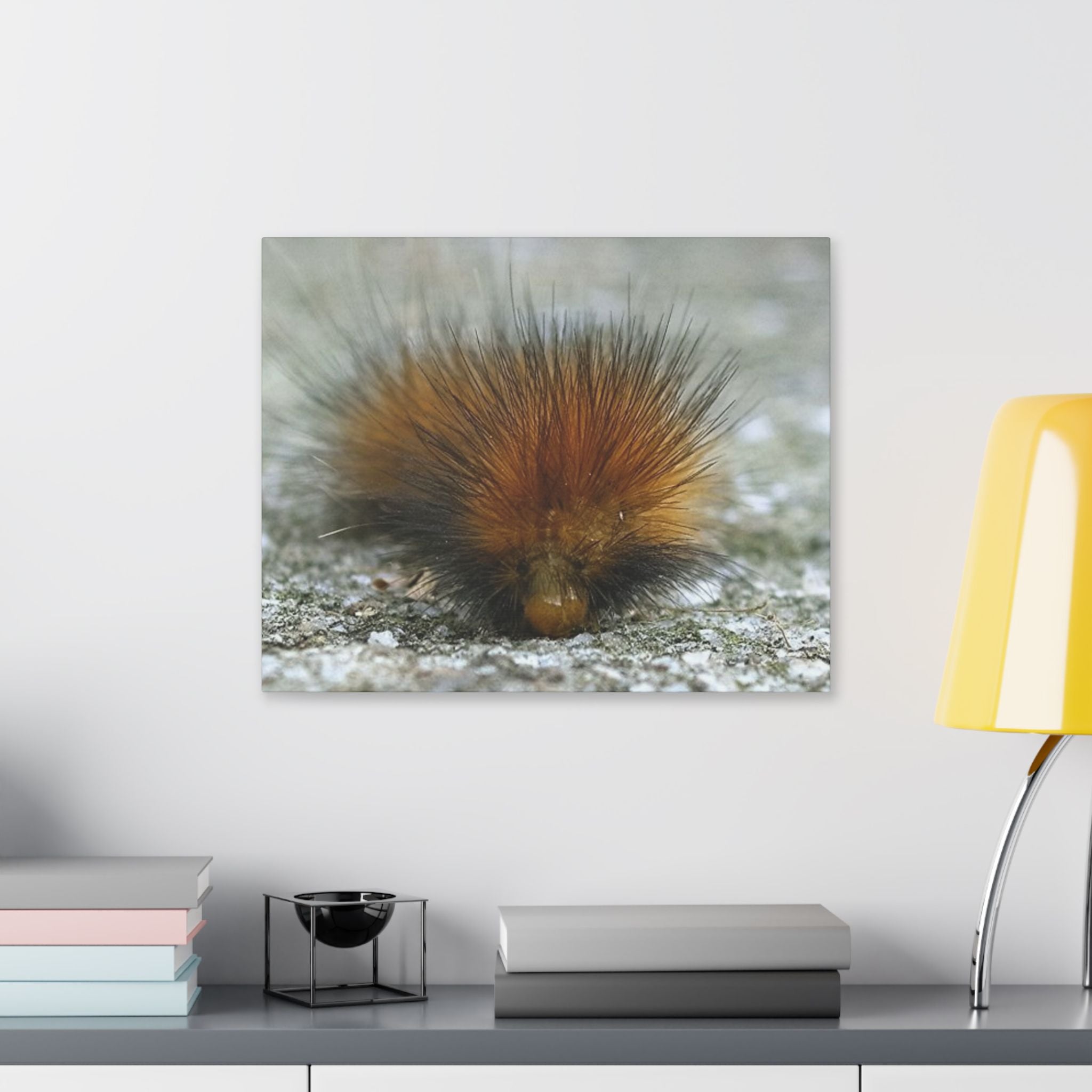 Classic Stretched Canvas - Platypillar