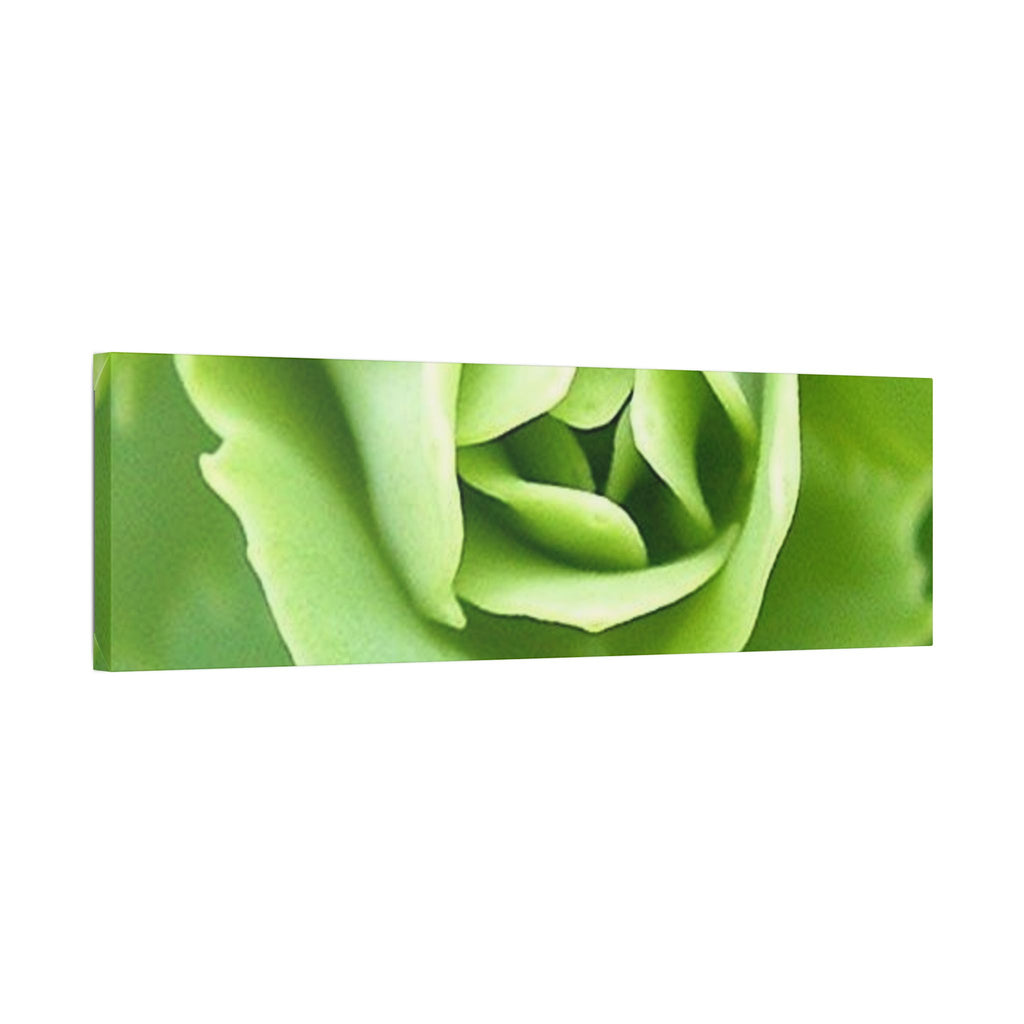 Classic Stretched Canvas