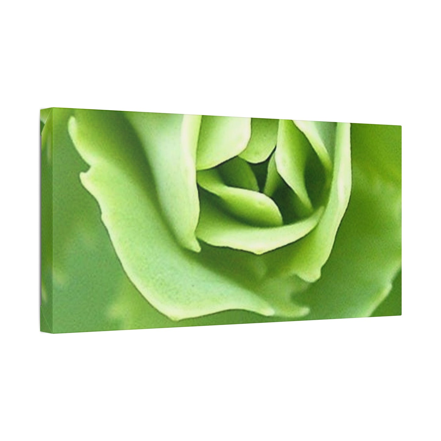 Classic Stretched Canvas