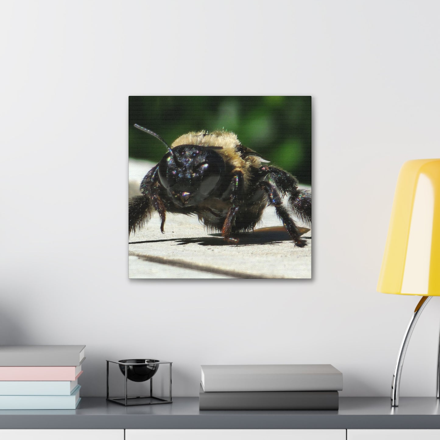 Canvas Gallery Wraps - Bee