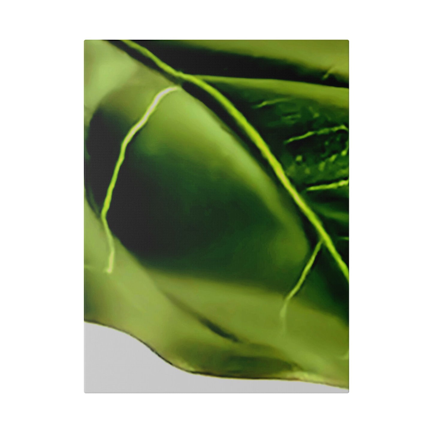 Classic Stretched Canvas - Leaf