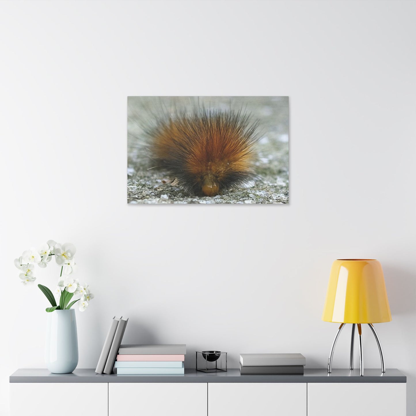 Classic Stretched Canvas - Platypillar