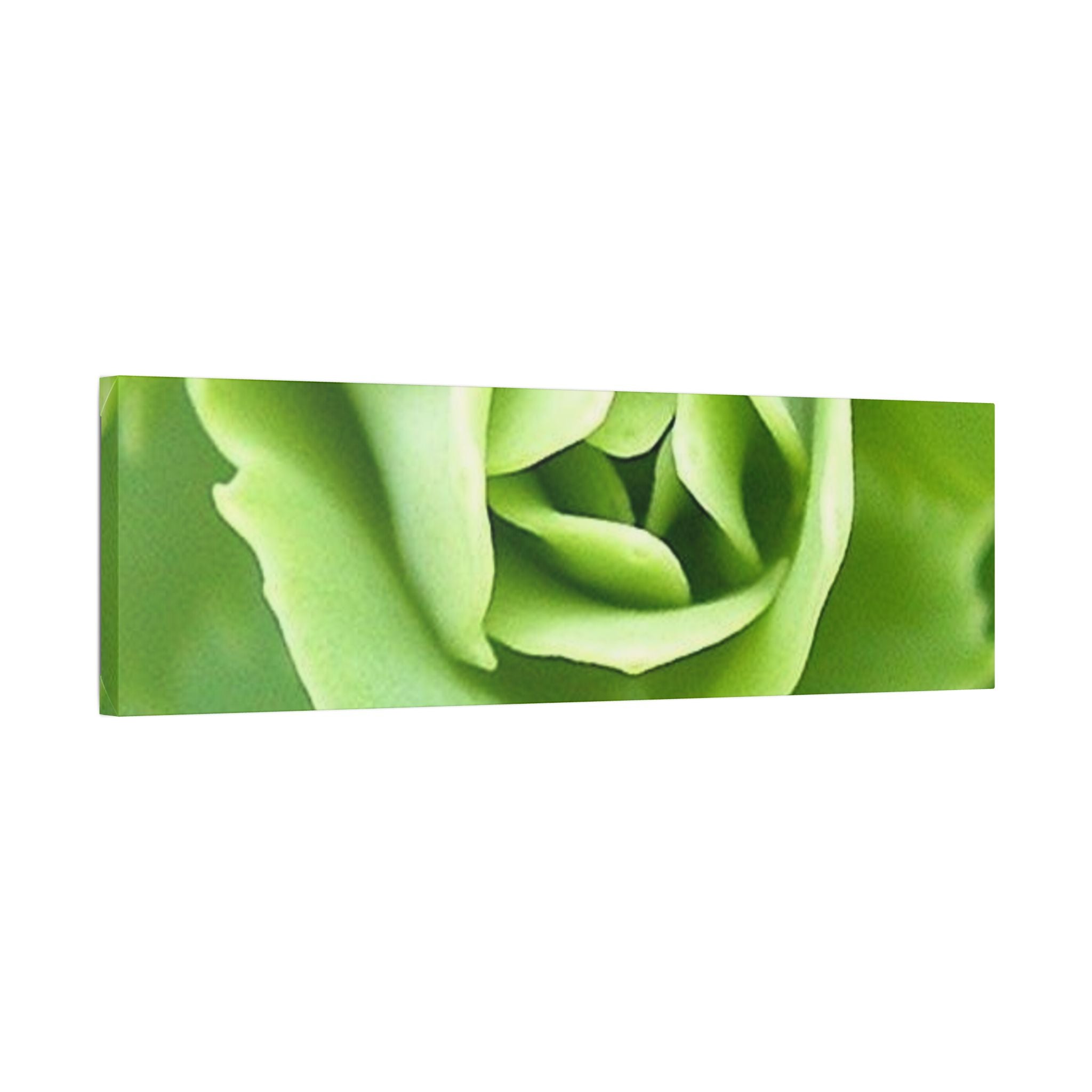 Classic Stretched Canvas