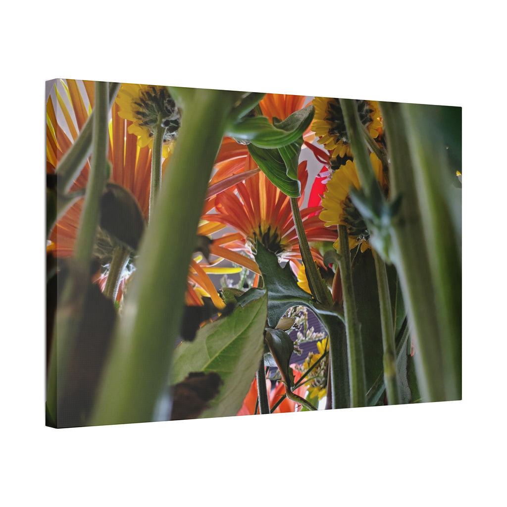 Classic Stretched Canvas