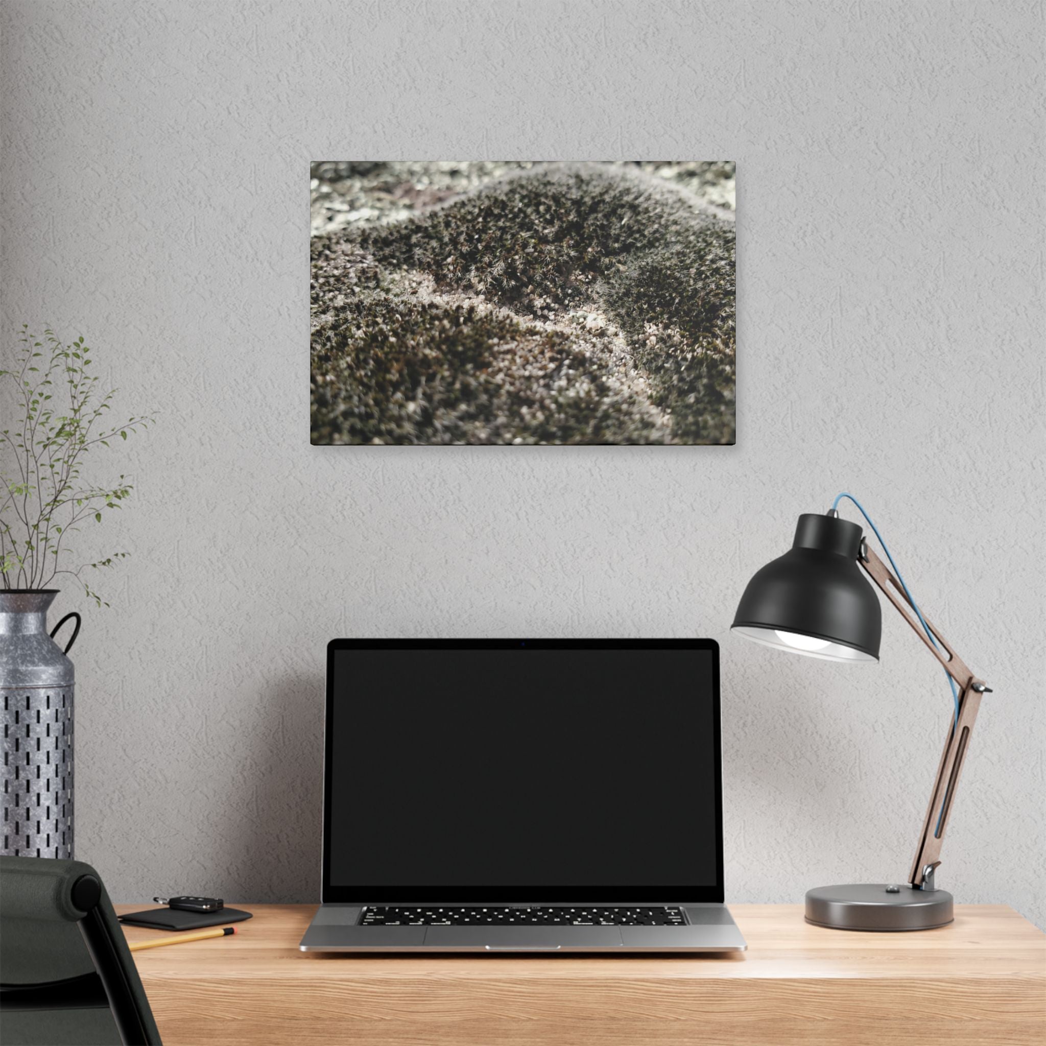 Classic Stretched Canvas - Moss