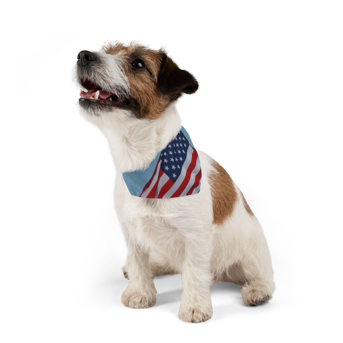 Pet Bandana Collar - USA Flag