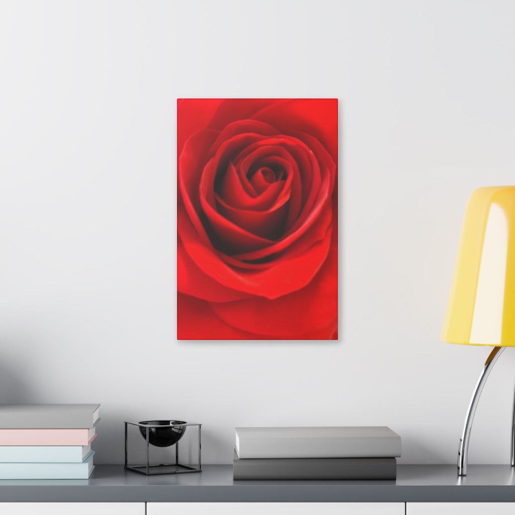 Classic Stretched Canvas - Rose