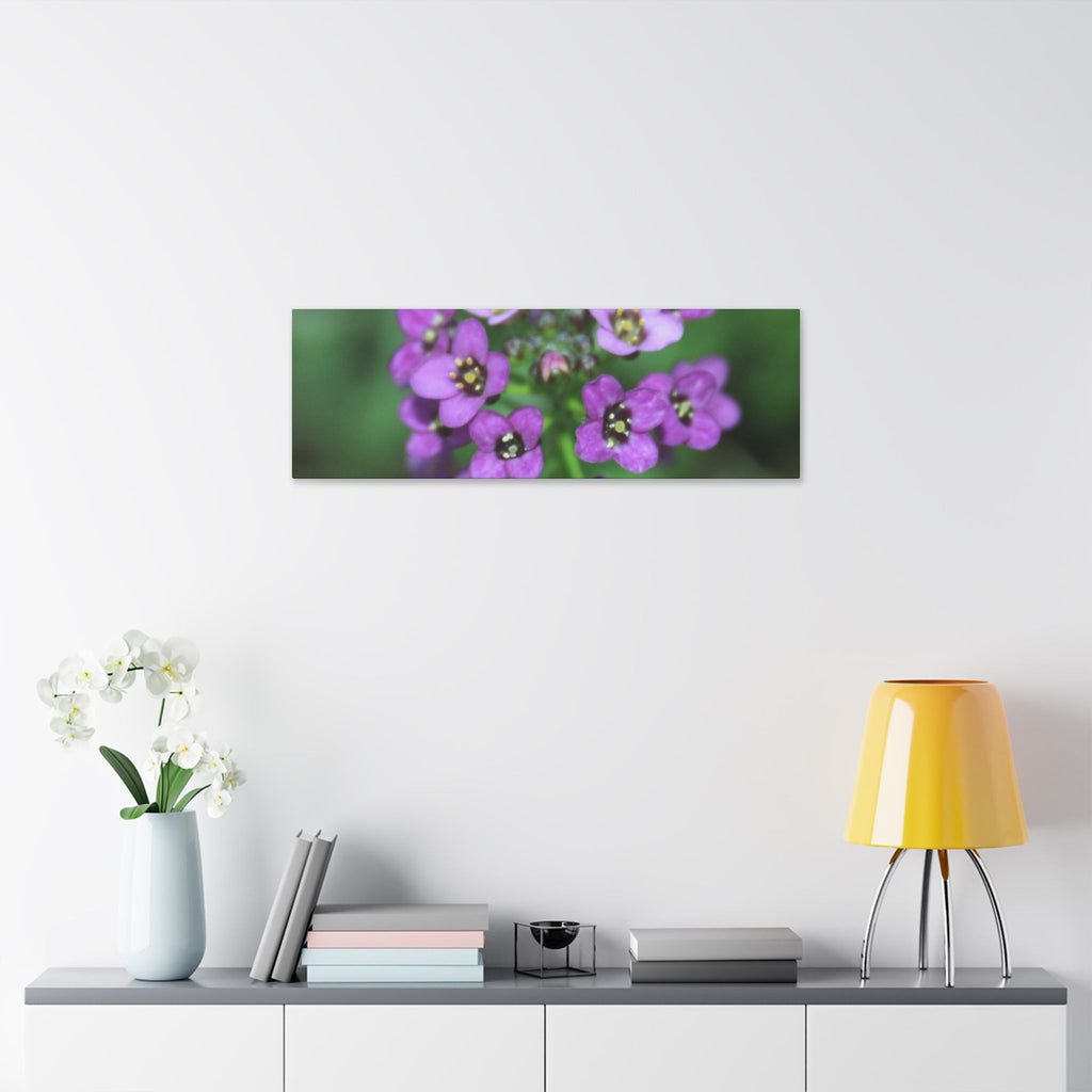 Classic Stretched Canvas