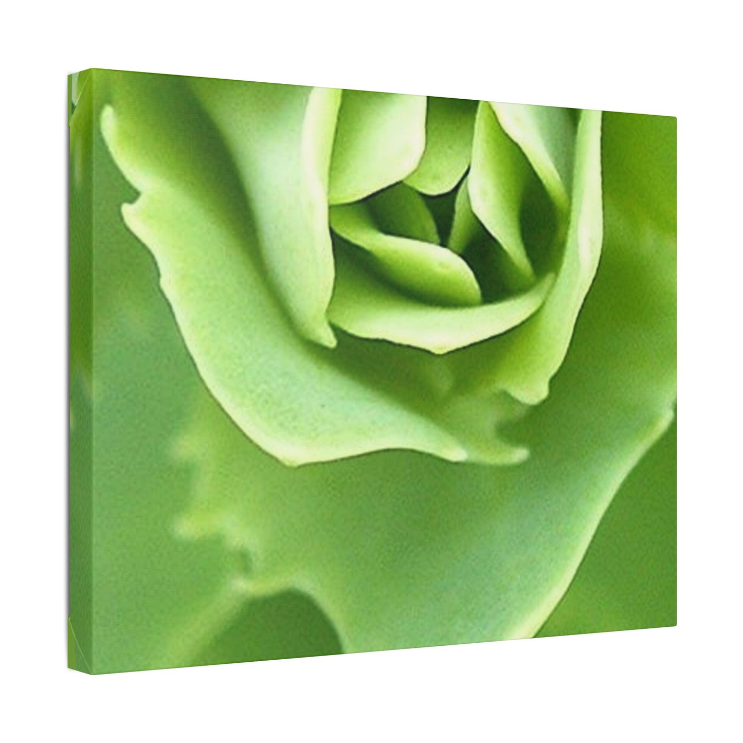 Classic Stretched Canvas