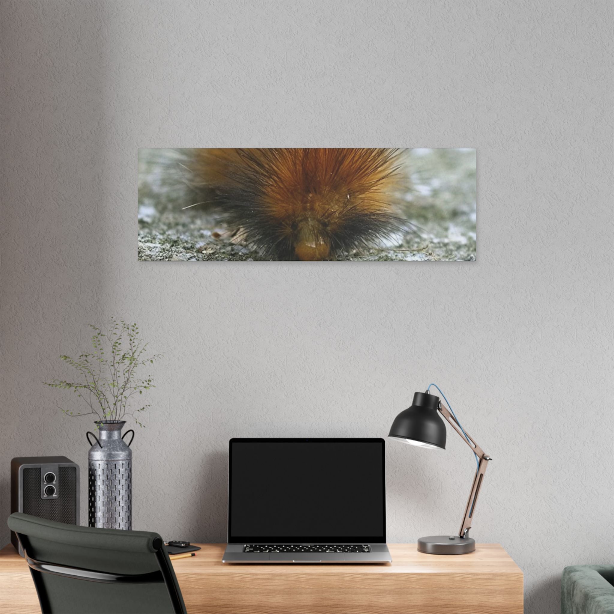 Classic Stretched Canvas - Platypillar