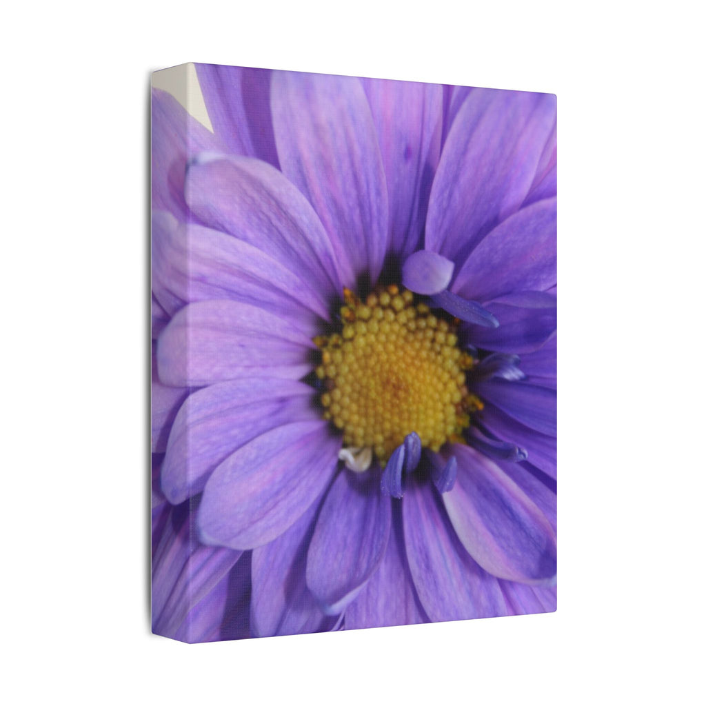 Classic Stretched Canvas