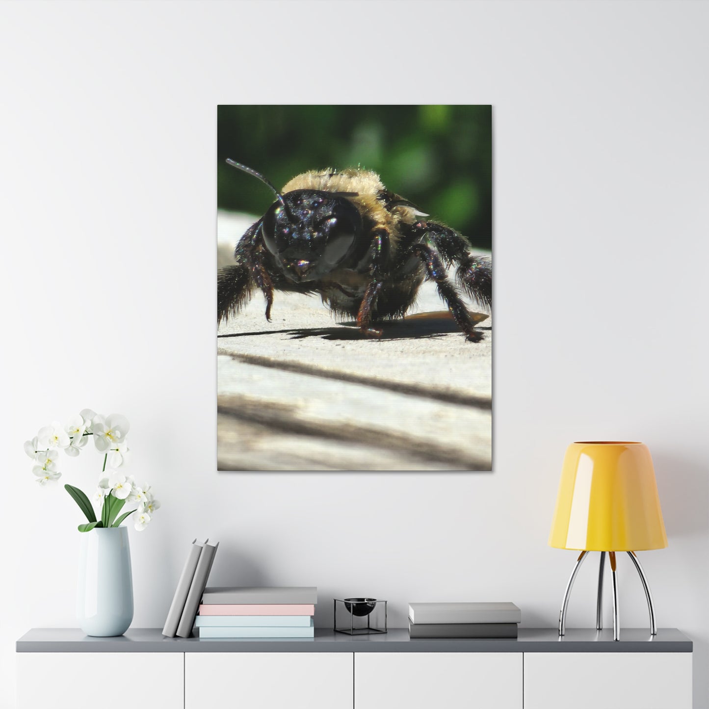 Canvas Gallery Wraps - Bee