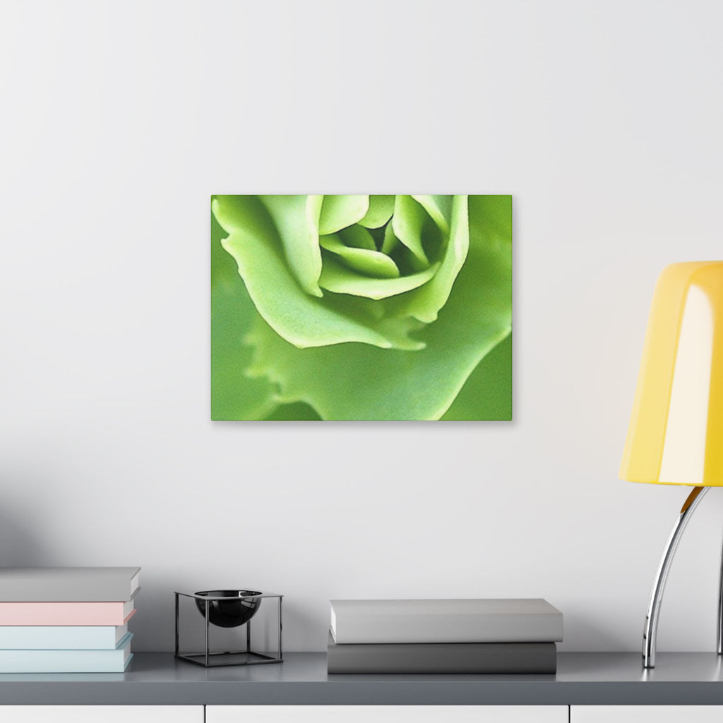 Classic Stretched Canvas