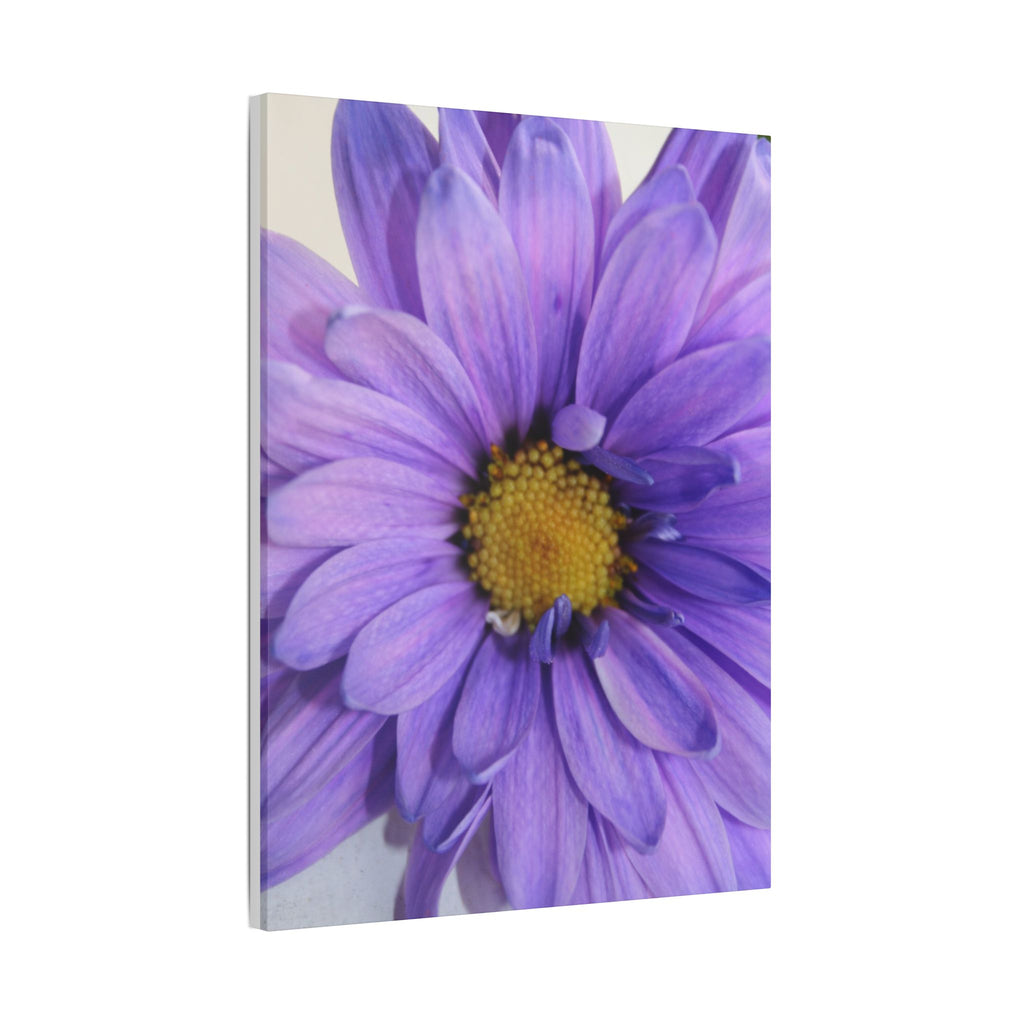 Classic Stretched Canvas