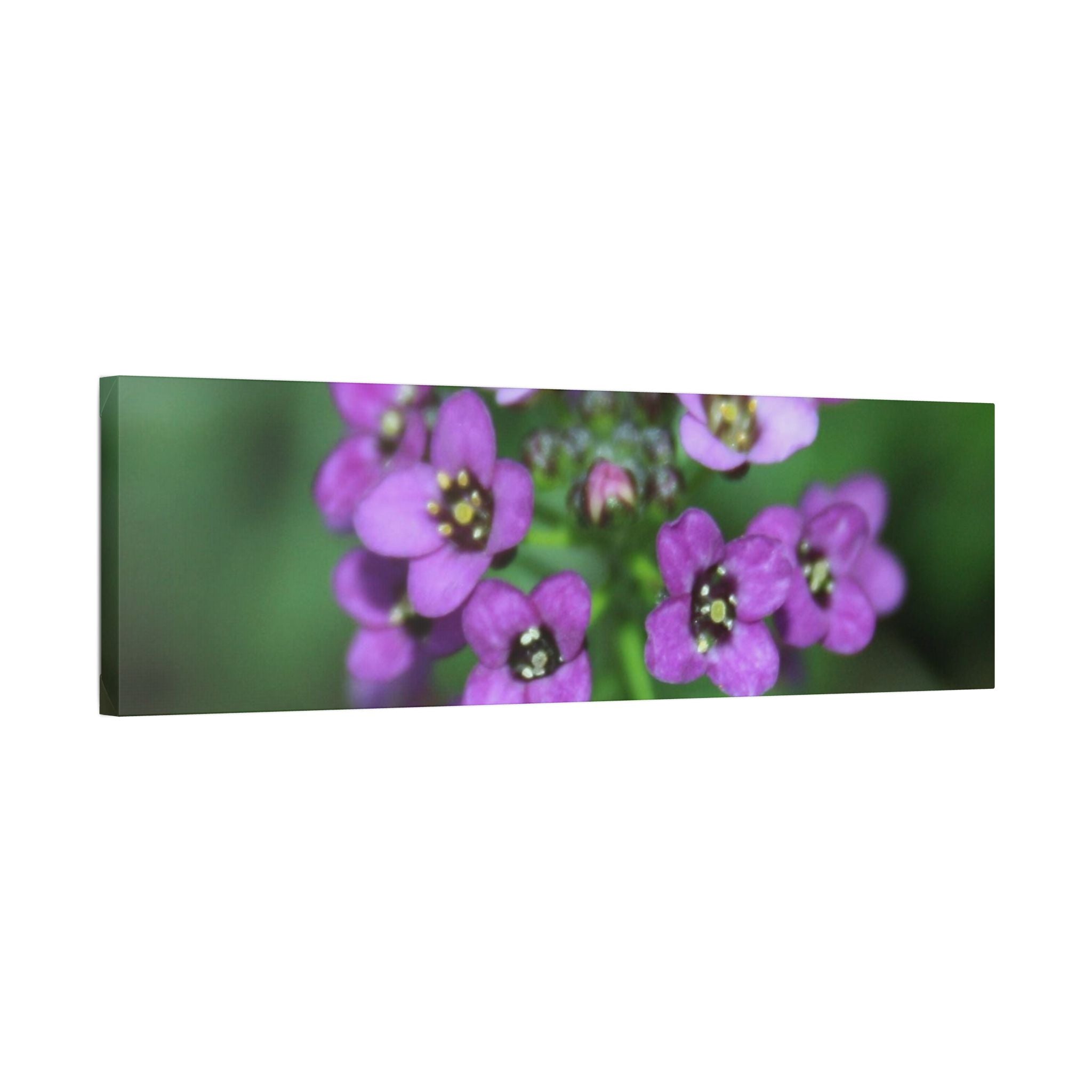 Classic Stretched Canvas