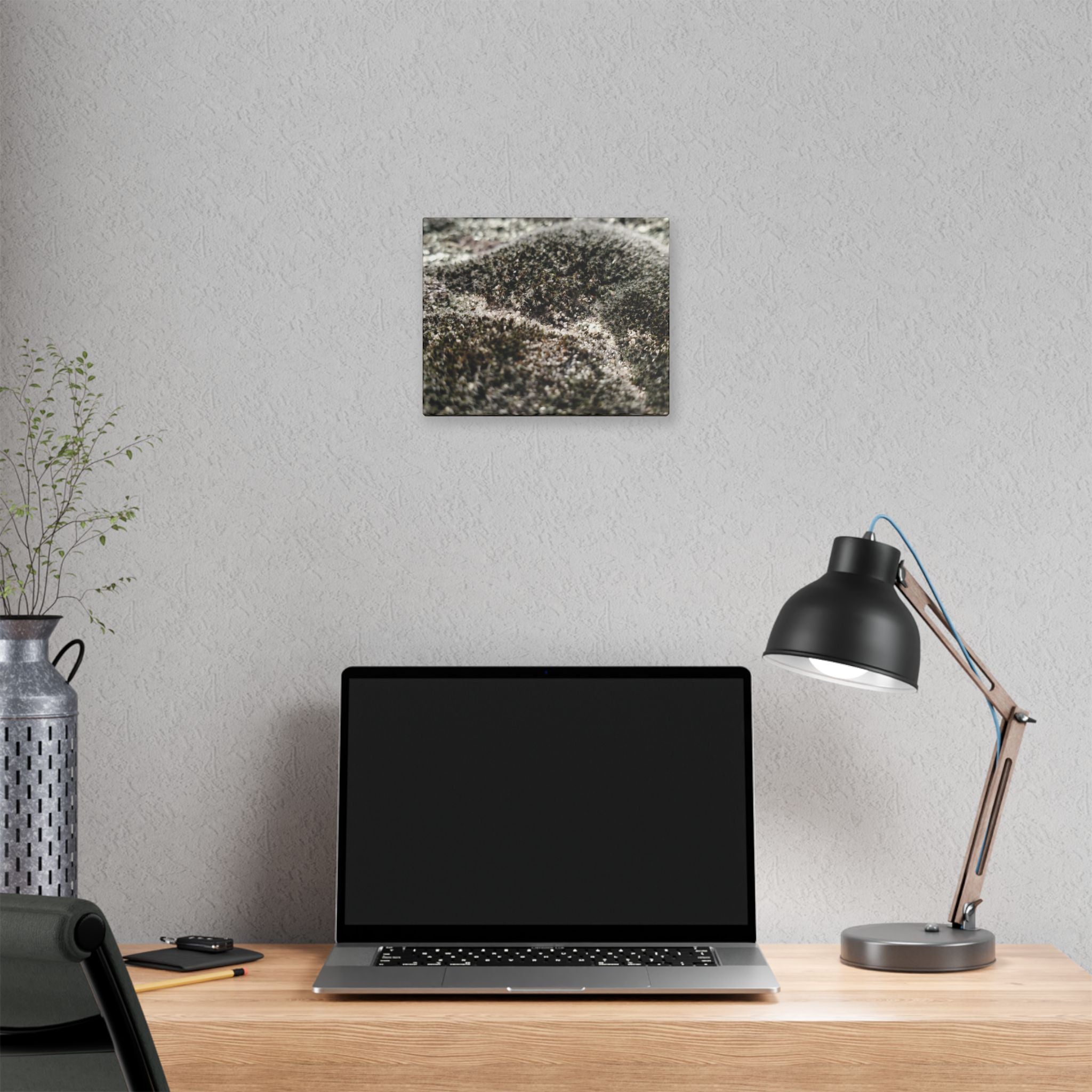 Classic Stretched Canvas - Moss