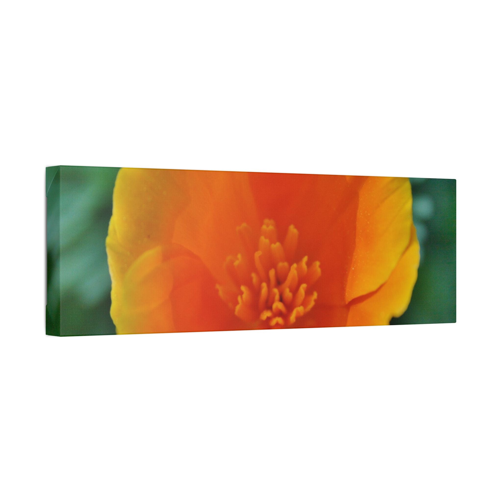 Classic Stretched Canvas