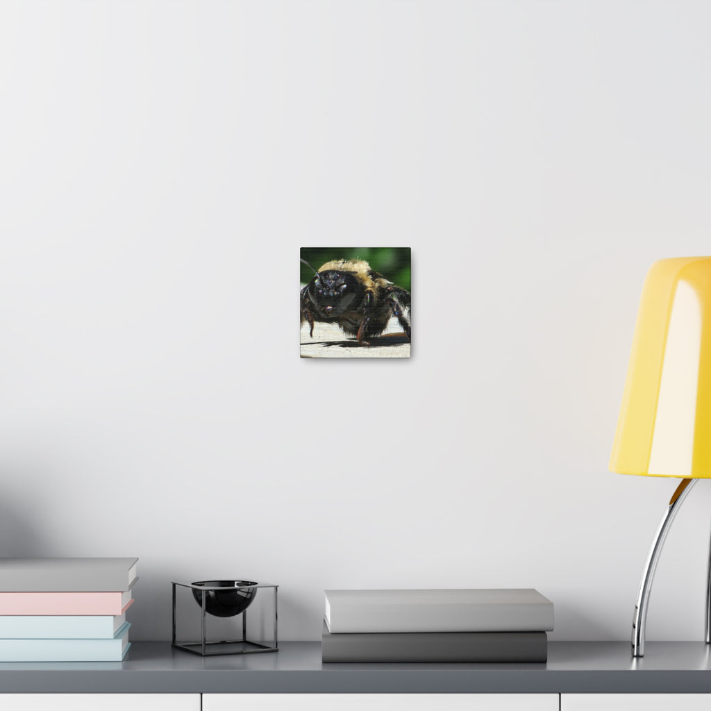 Canvas Gallery Wraps - Bee