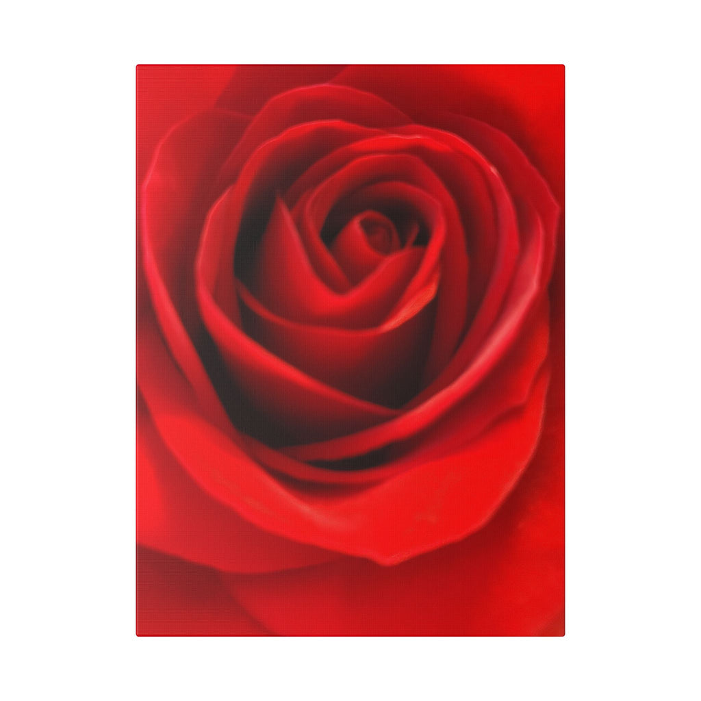 Classic Stretched Canvas - Rose