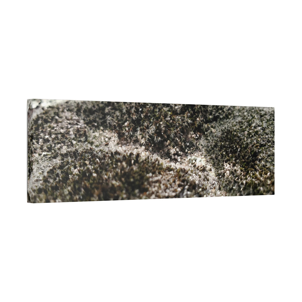 Classic Stretched Canvas - Moss