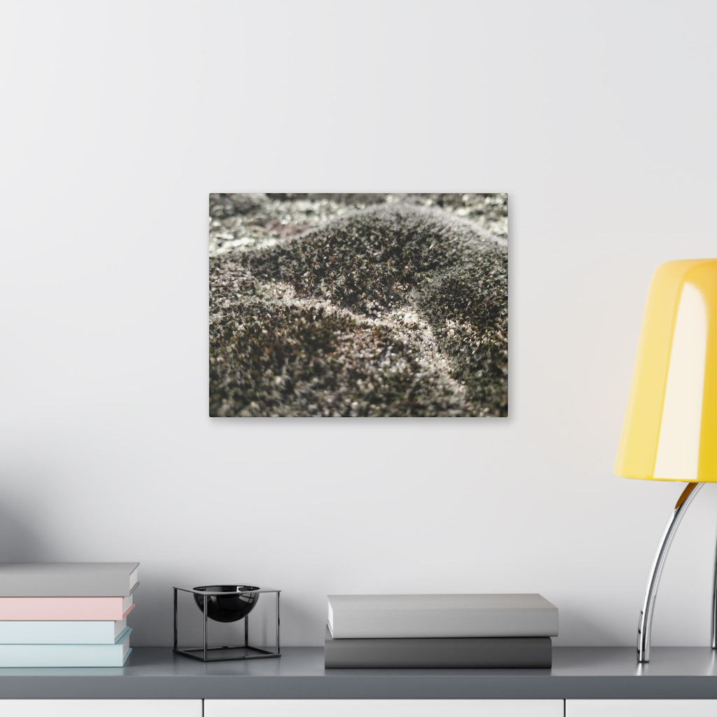 Classic Stretched Canvas - Moss