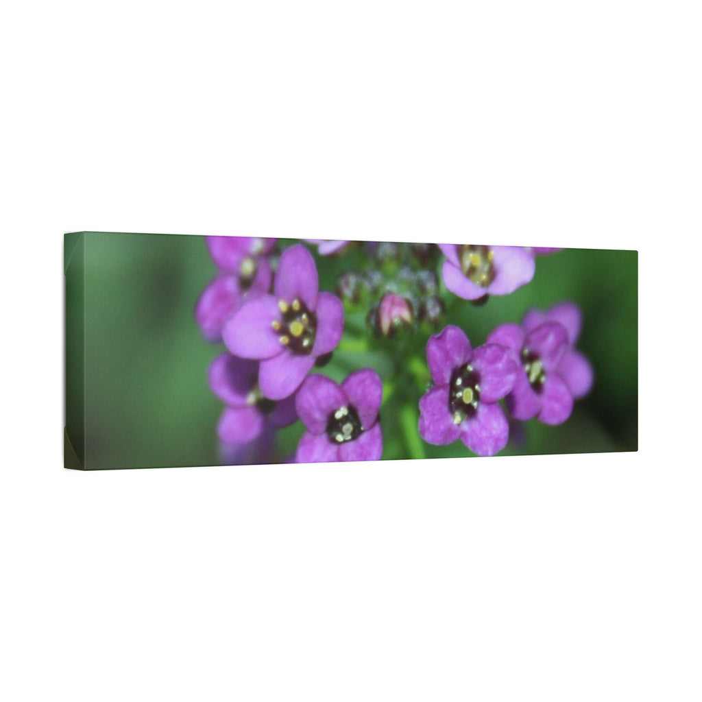 Classic Stretched Canvas