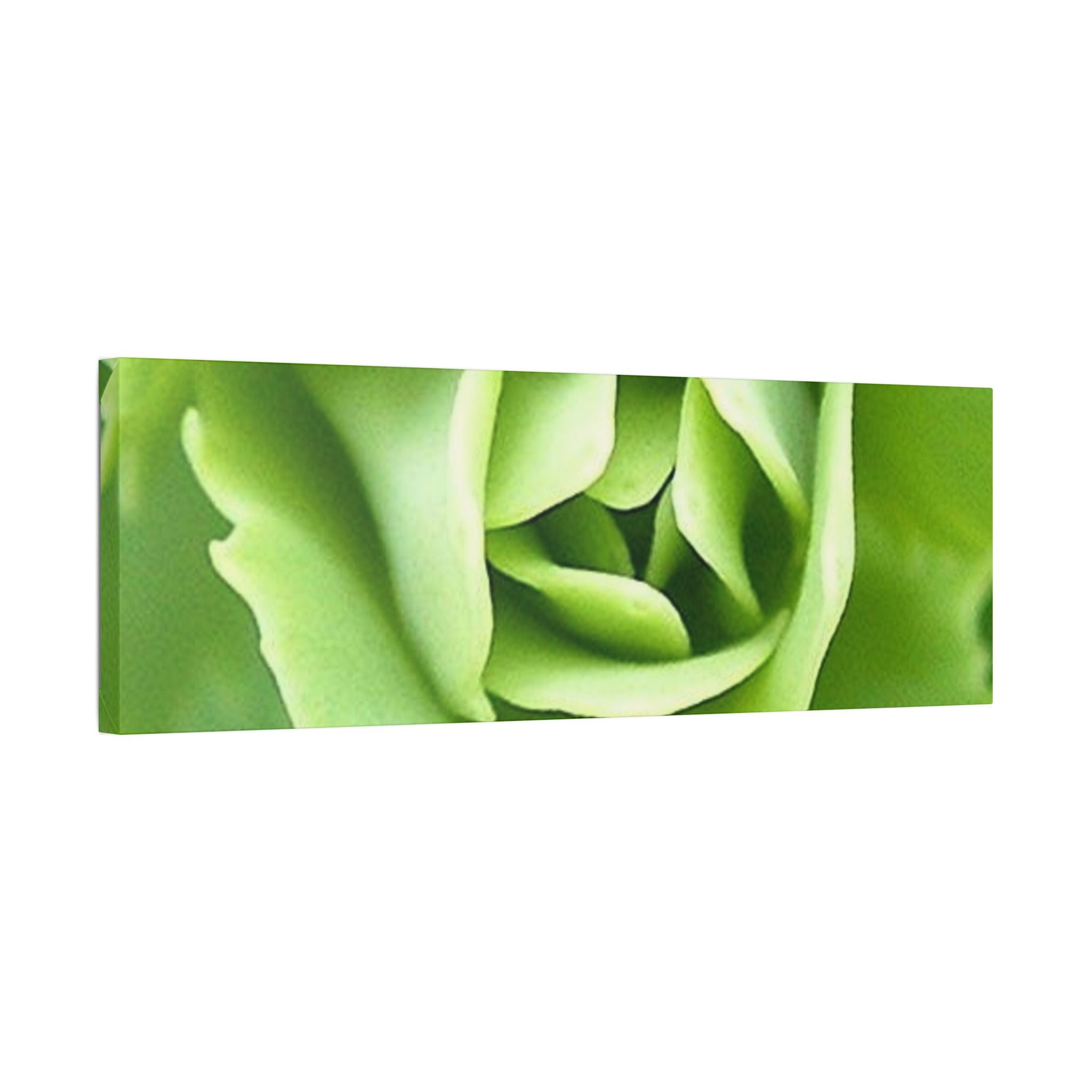 Classic Stretched Canvas