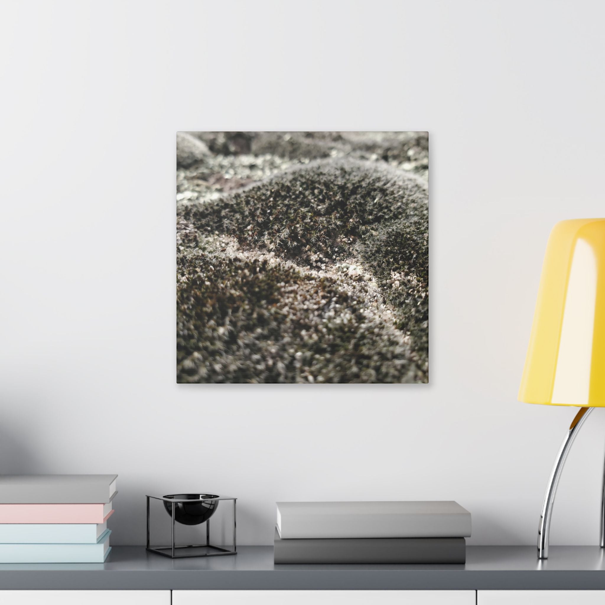 Classic Stretched Canvas - Moss