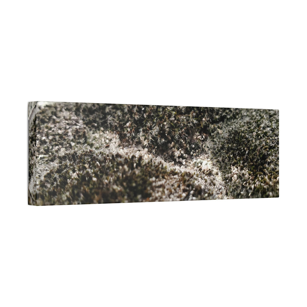 Classic Stretched Canvas - Moss
