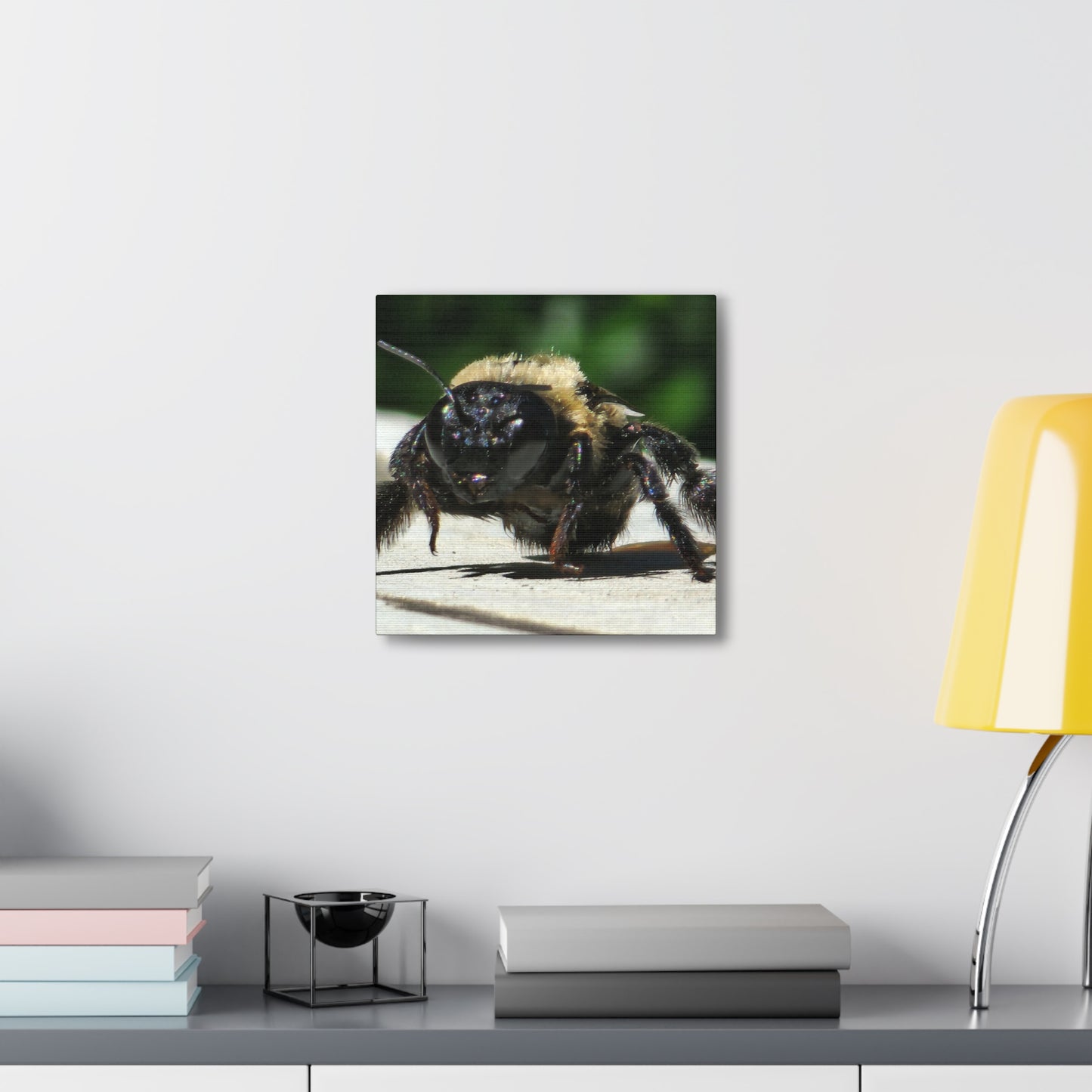 Canvas Gallery Wraps - Bee