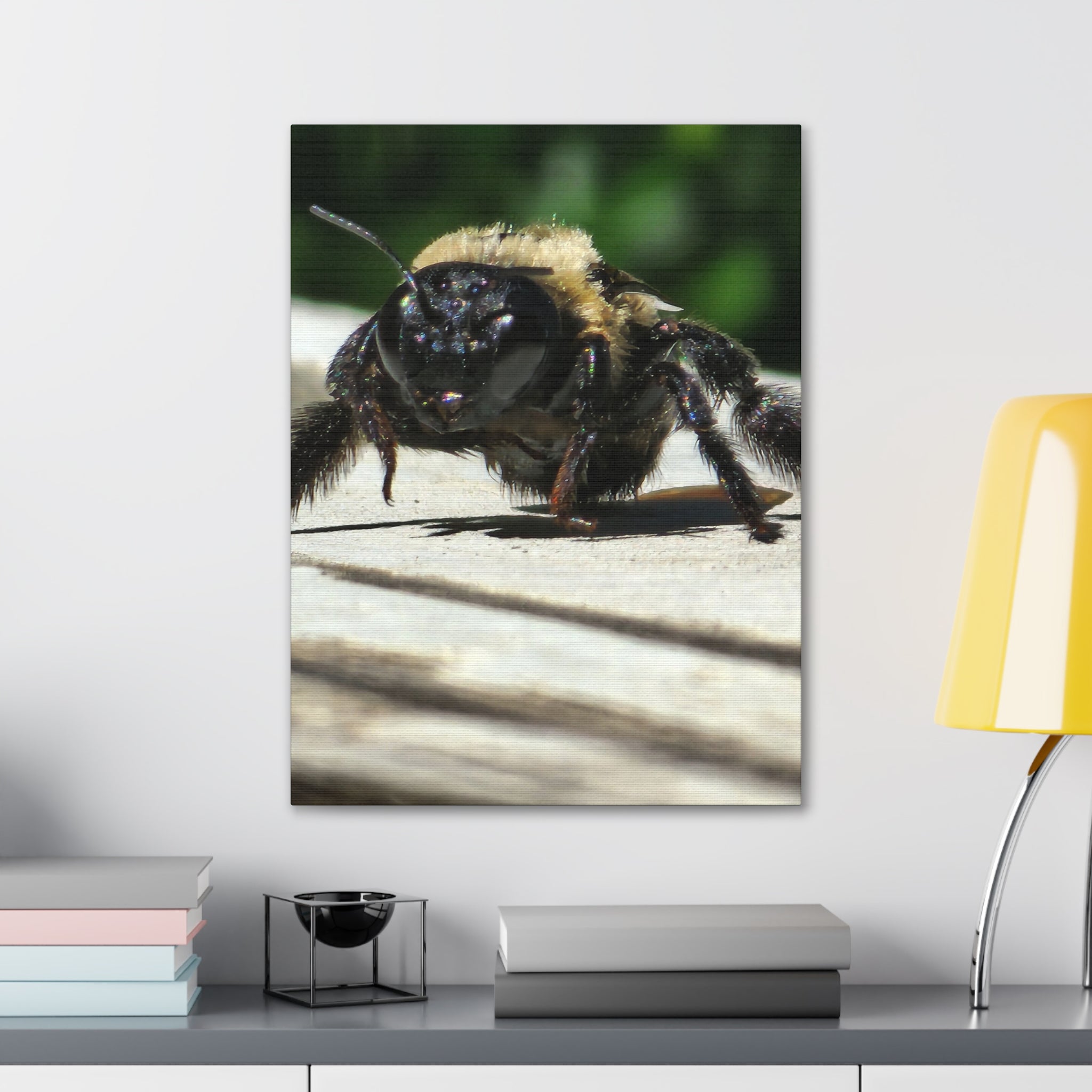 Canvas Gallery Wraps - Bee