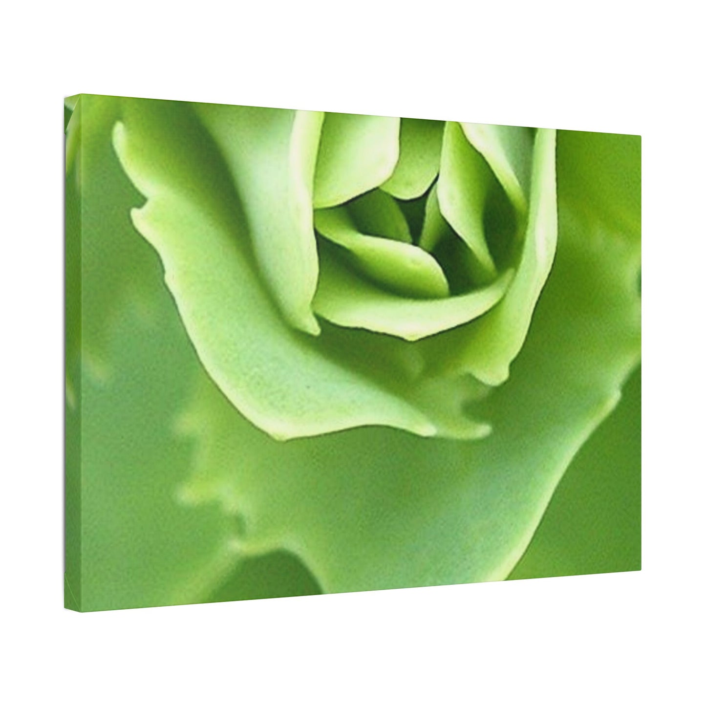 Classic Stretched Canvas