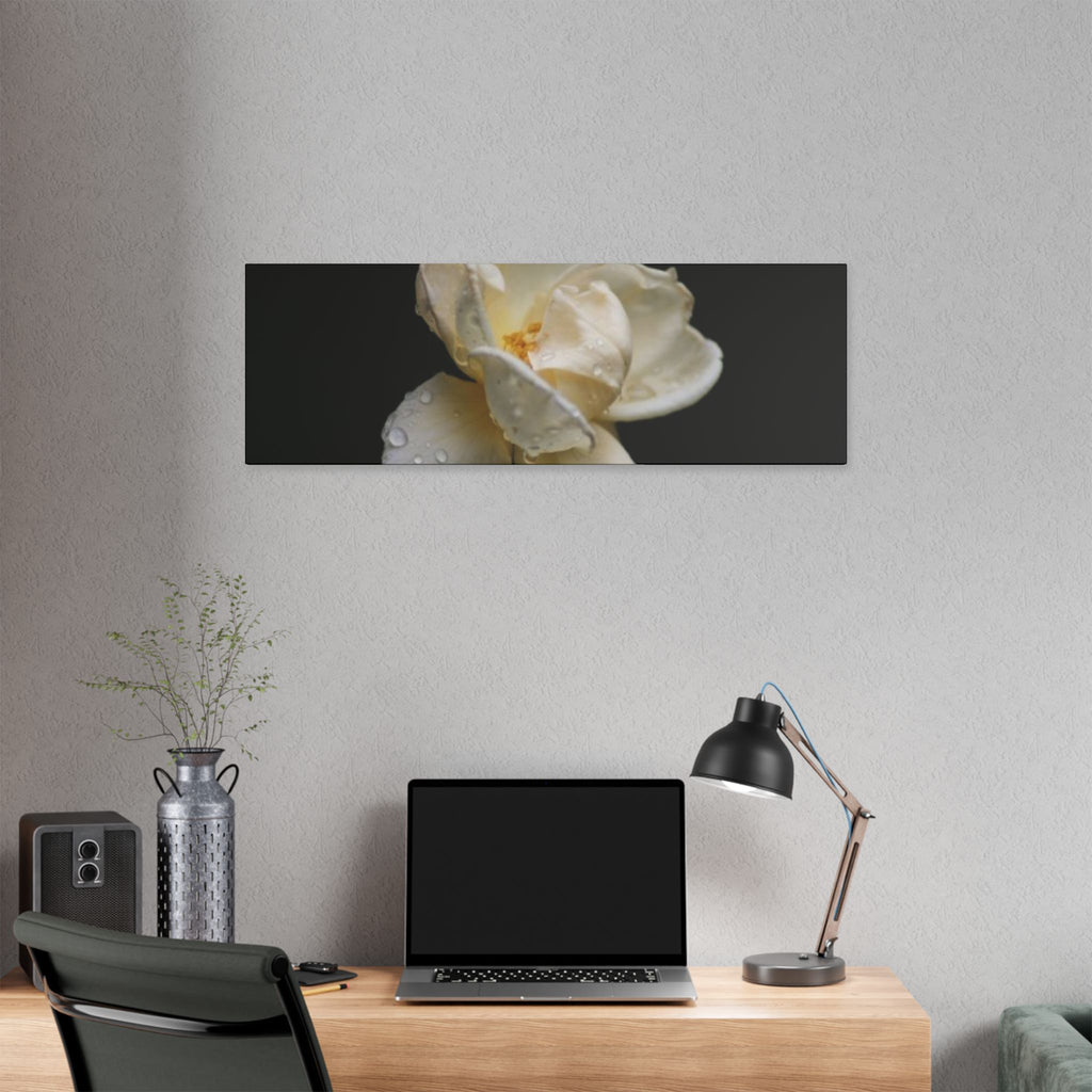 Classic Stretched Canvas - Gardenia