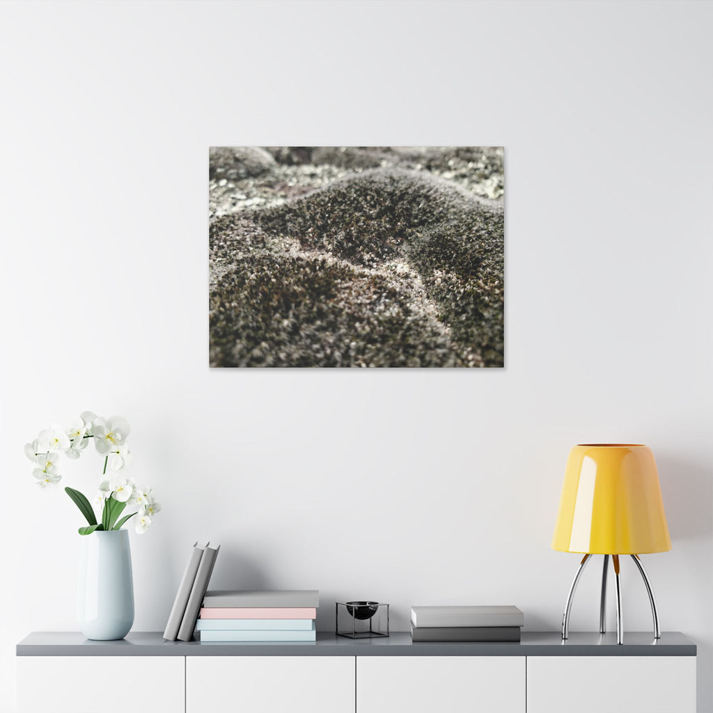 Classic Stretched Canvas - Moss
