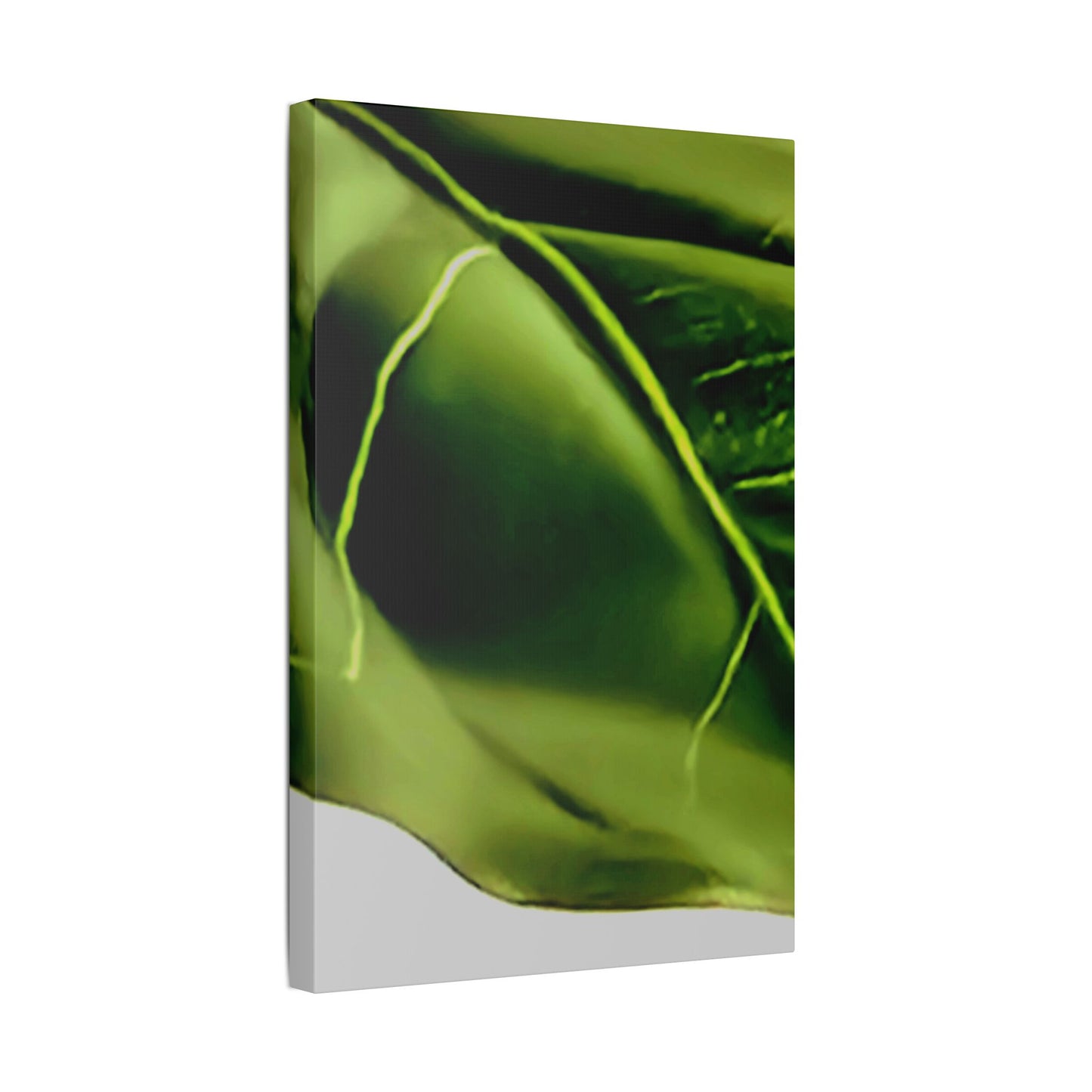 Classic Stretched Canvas - Leaf