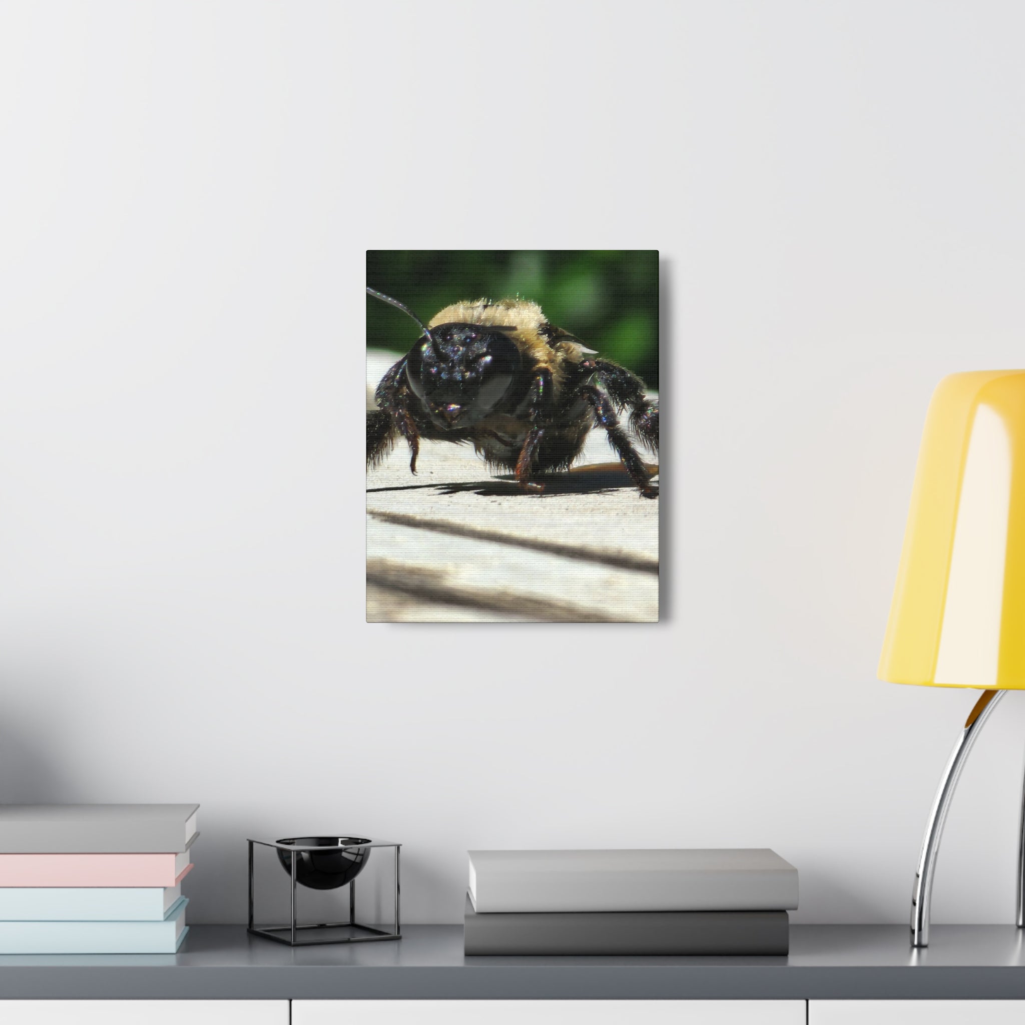 Canvas Gallery Wraps - Bee