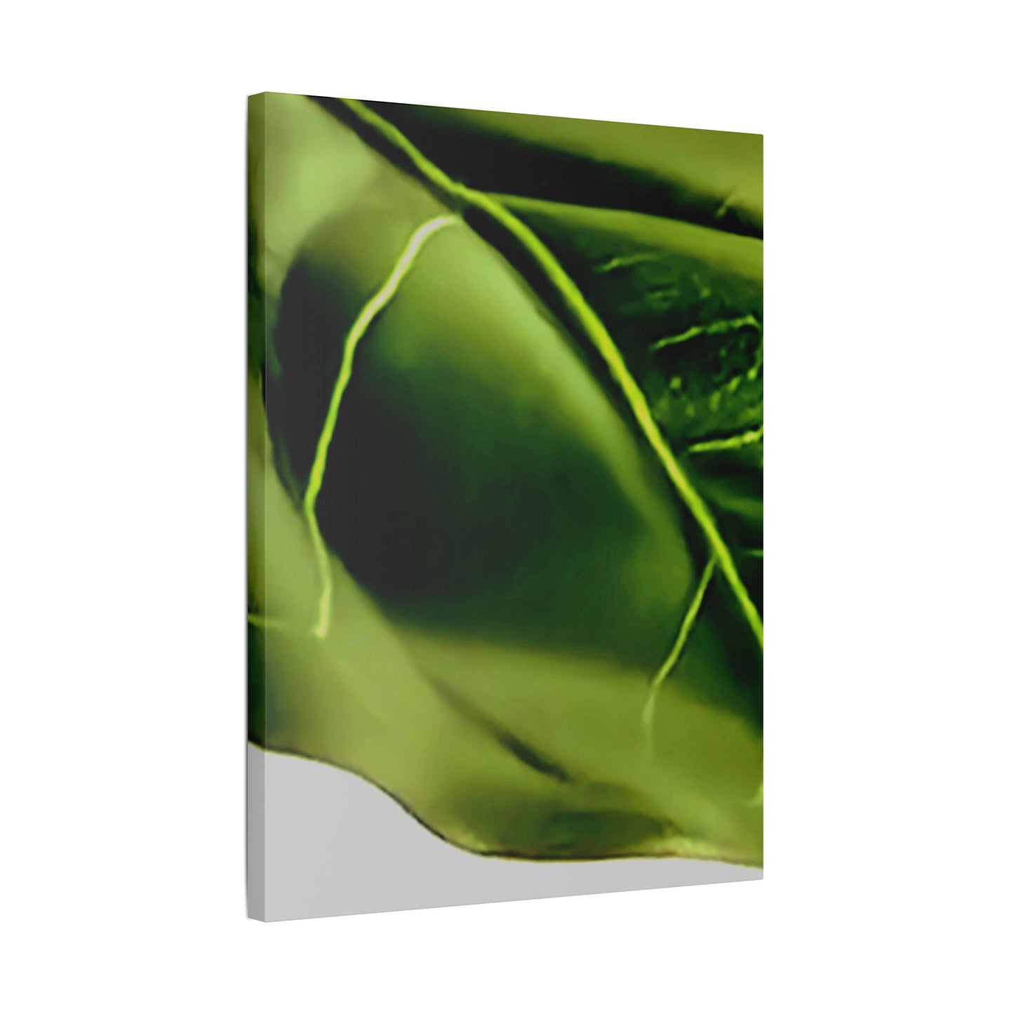 Classic Stretched Canvas - Leaf