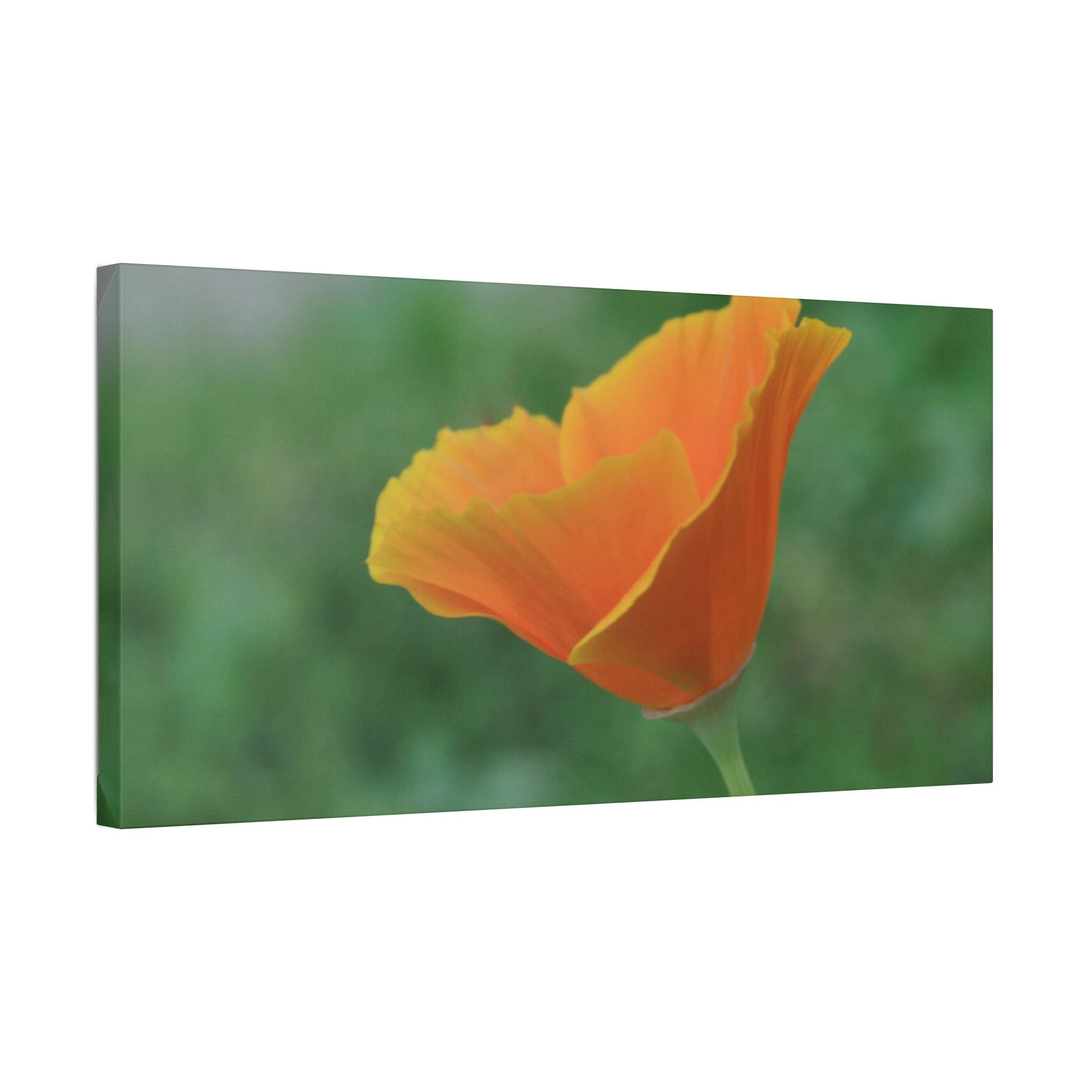 Classic Stretched Canvas