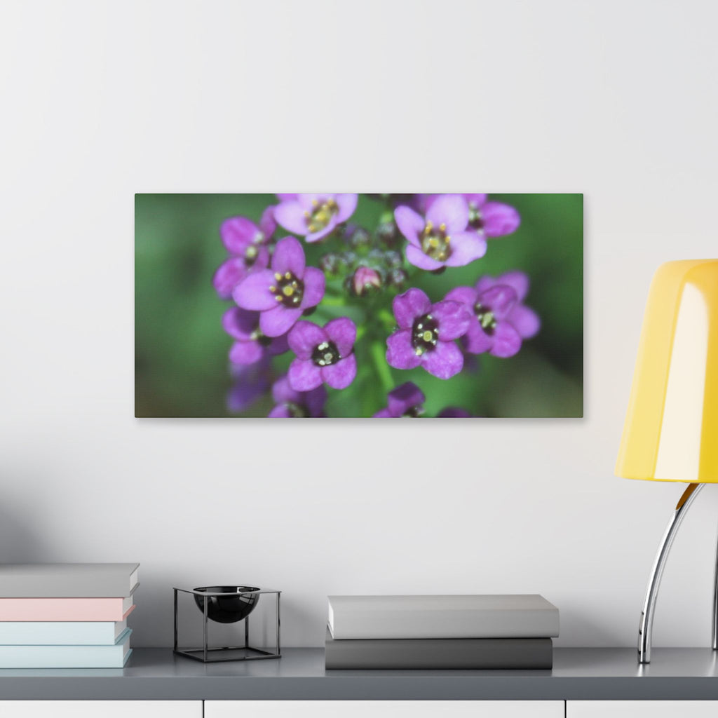 Classic Stretched Canvas