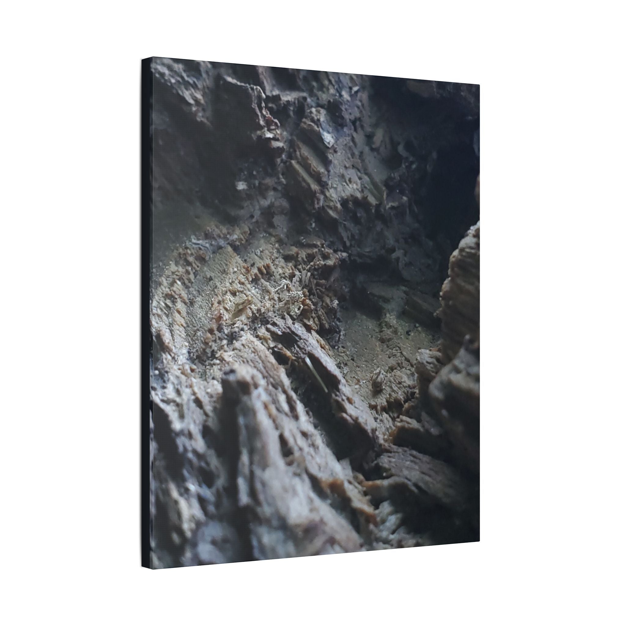 Classic Stretched Canvas