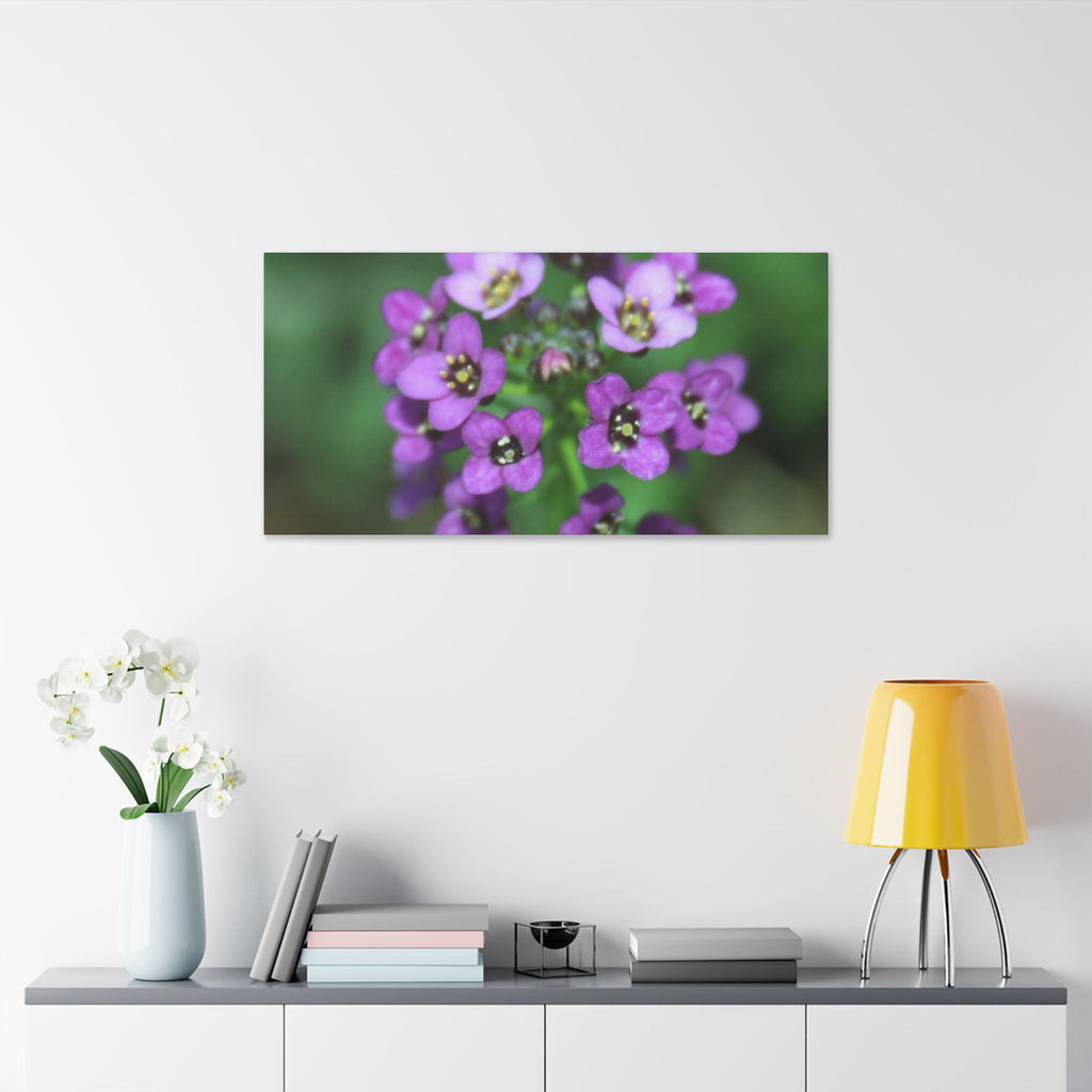 Classic Stretched Canvas