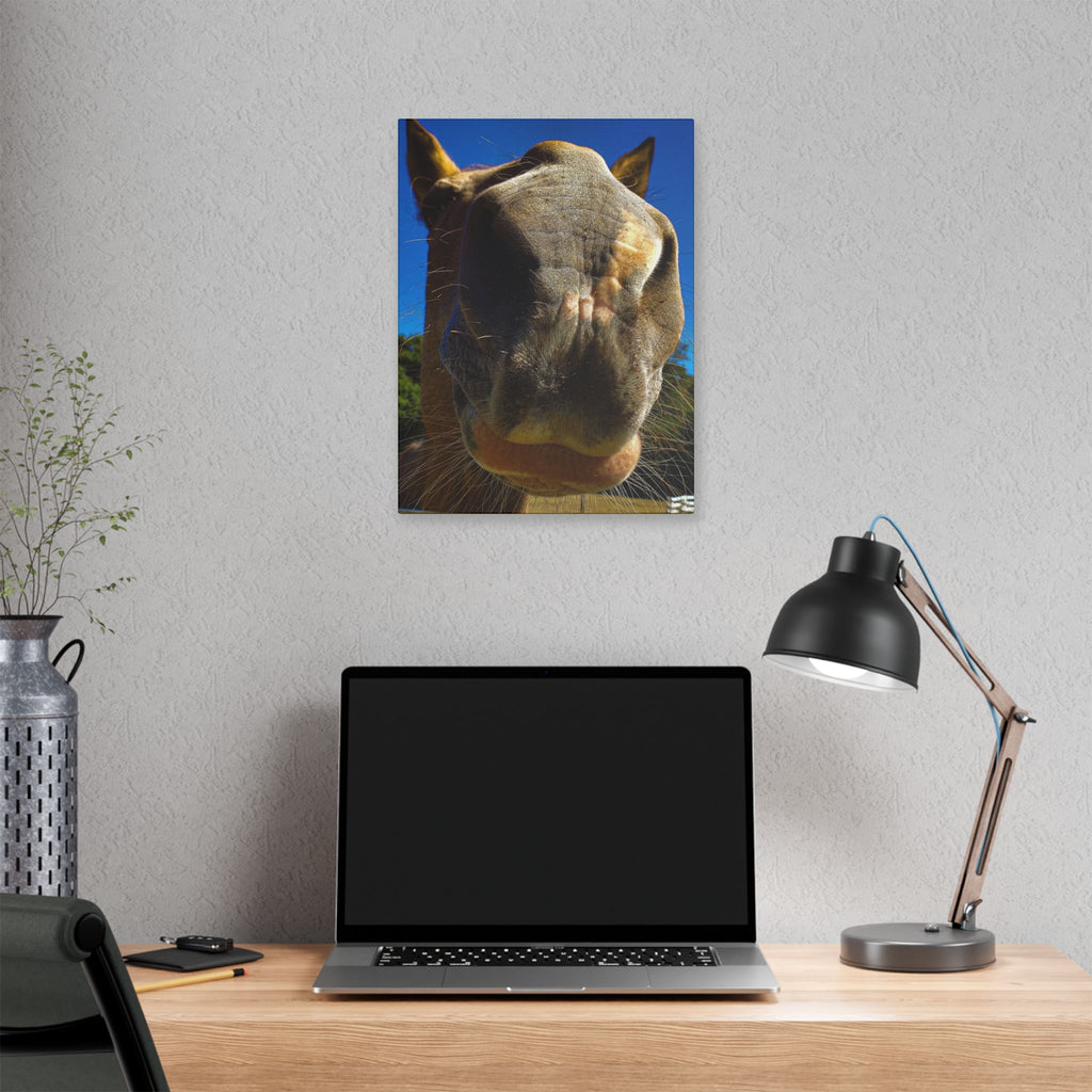 Classic Stretched Canvas - Its A Horse Of Course
