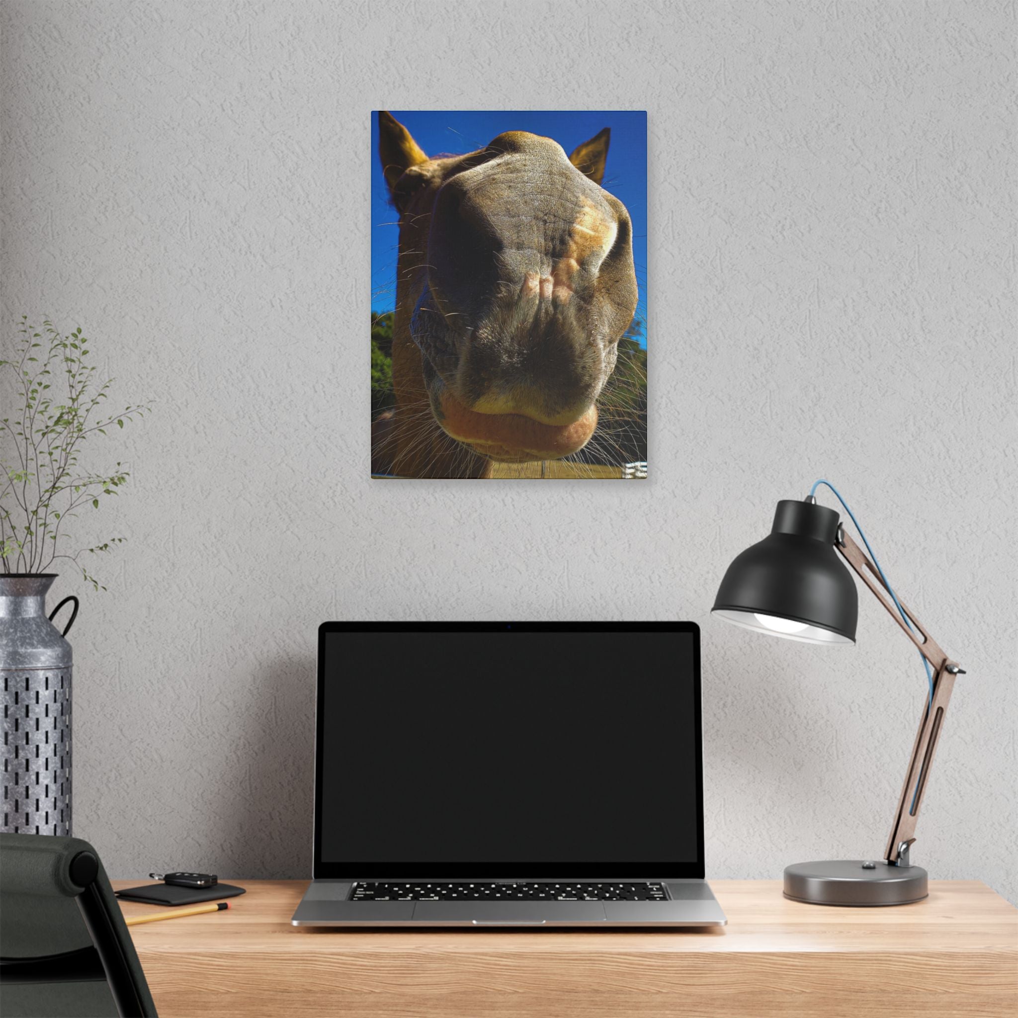 Classic Stretched Canvas - Its A Horse Of Course